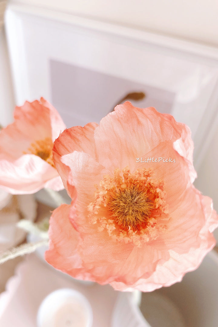 Coral Poppy