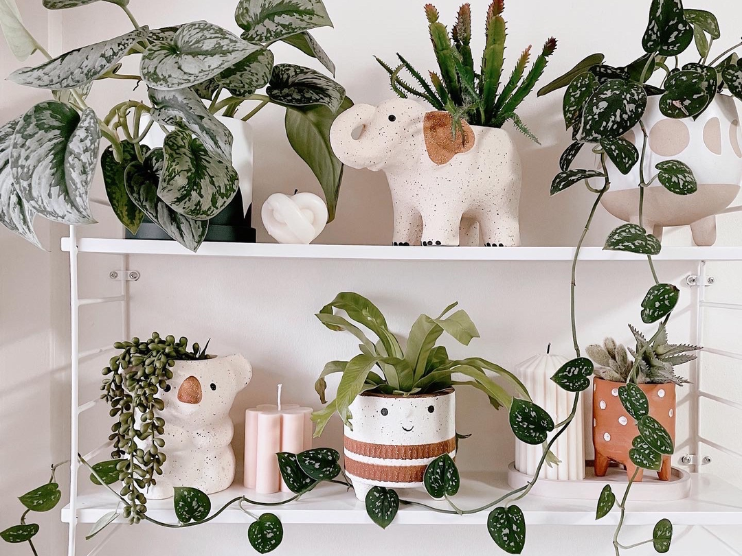 Home Accessories