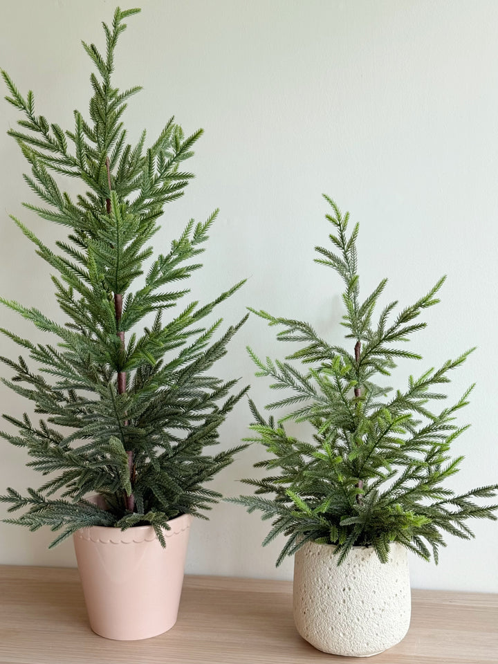 Nordic Calm Faux Pine Tree (2 options)