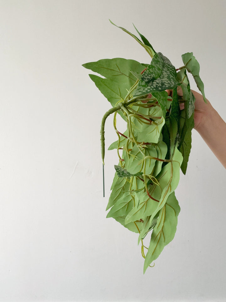 Faux Polka Dot Begonia Vine - 48cm