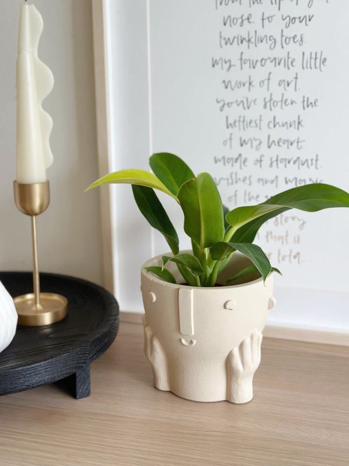 Daydream Flowerpot
