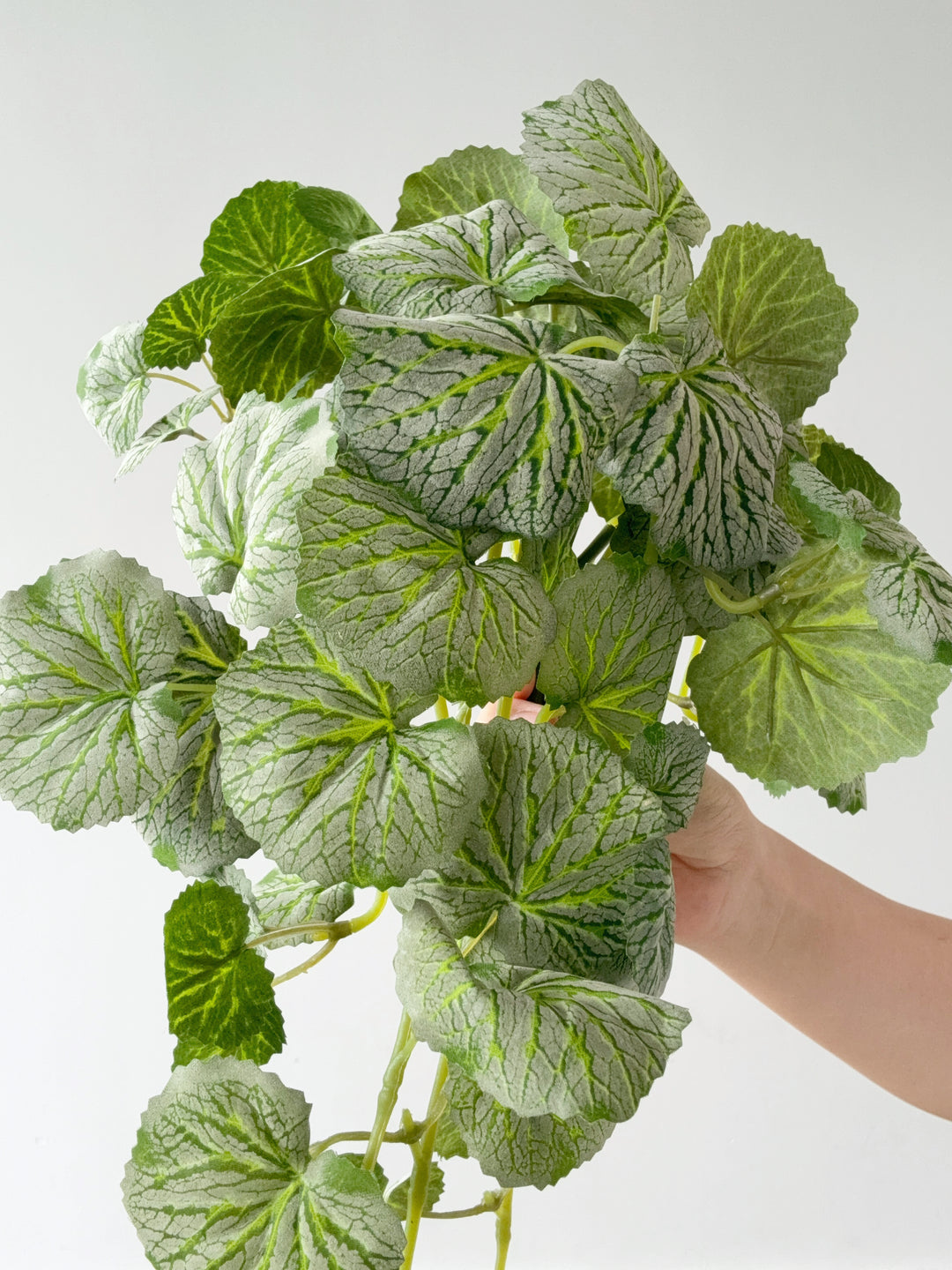 Faux Strawberry Begonia Vine