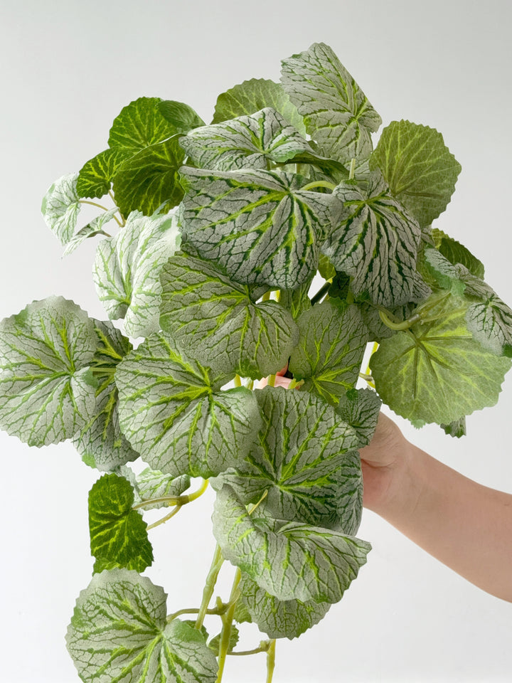 Faux Strawberry Begonia Vine