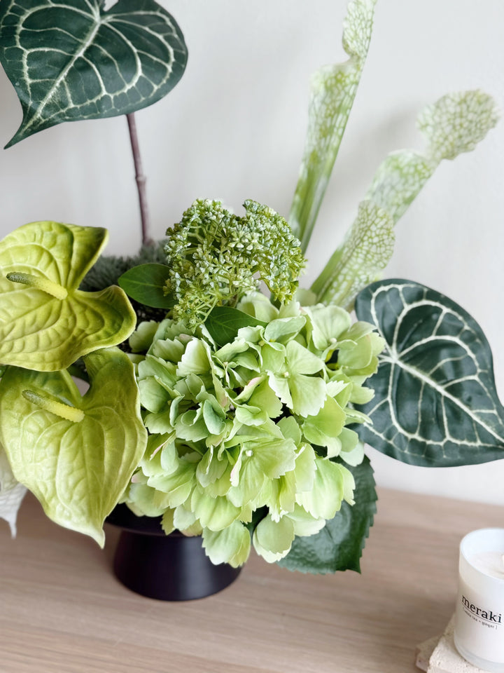 Botanical Poise in the Pot (1-Sided)