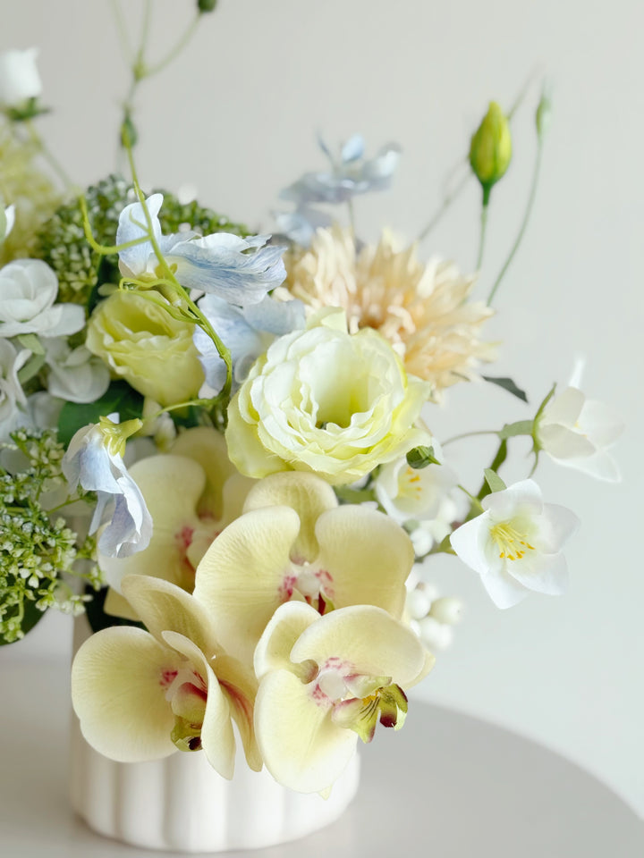 Dewdrop Garden in the Pot (1-sided)