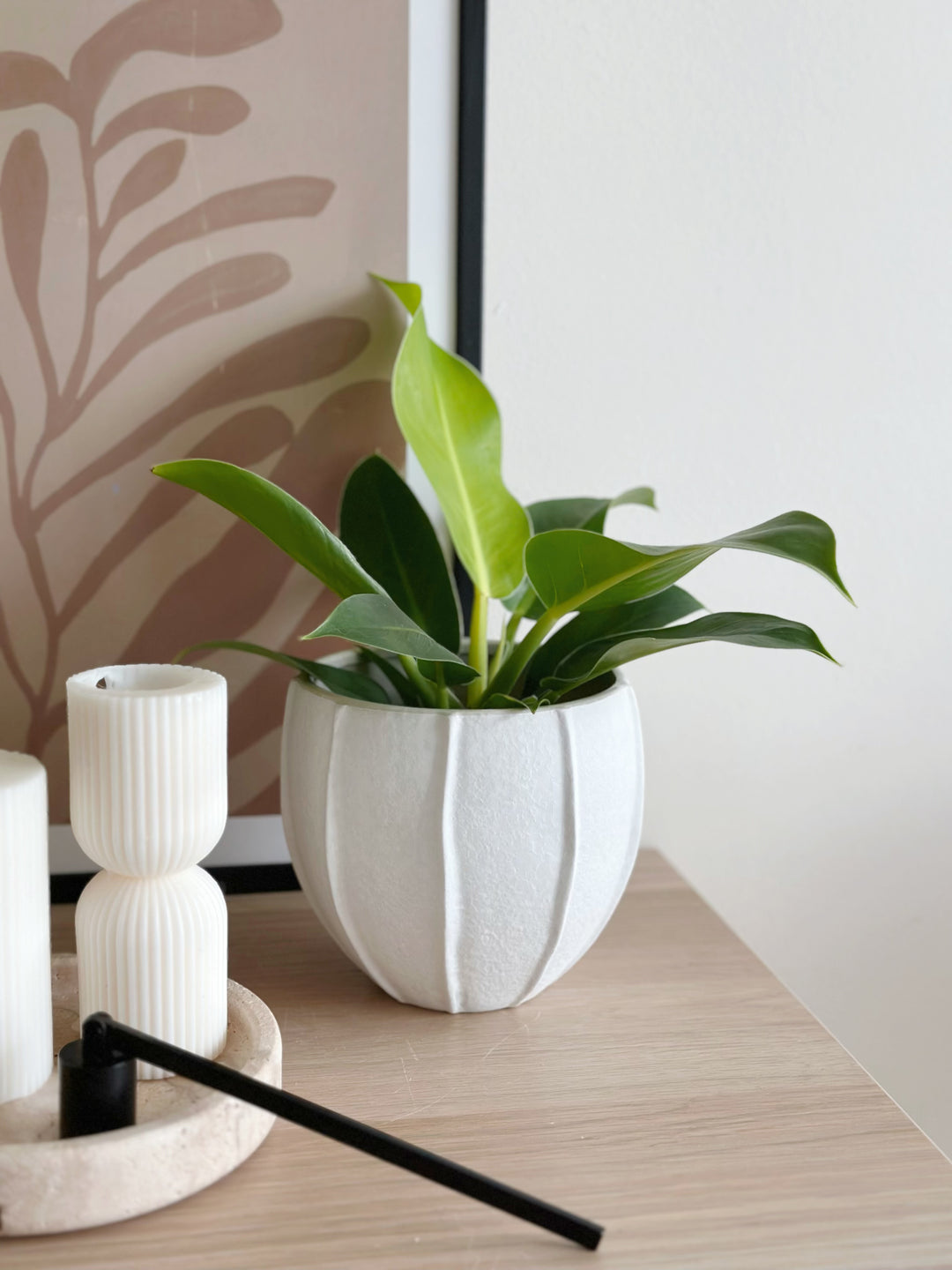Coco Husk Flowerpot