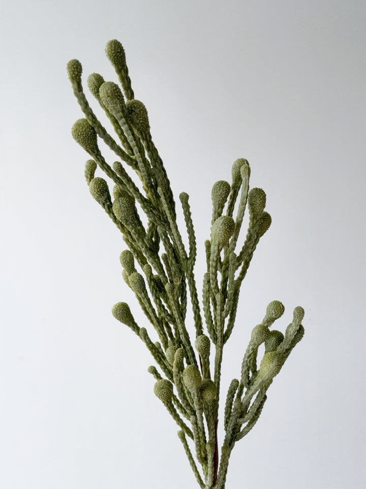 Spray Brunia Faux Branch