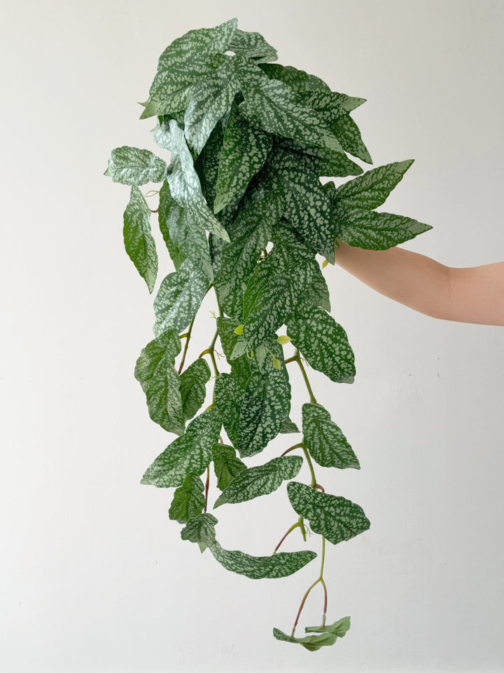 Faux Polka Dot Begonia Vine - 98cm