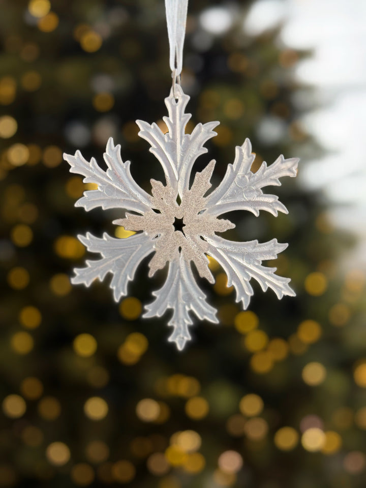 PRE-ORDER (19-23 Oct): Pearl Frost Christmas Ornament Collection (6 options)