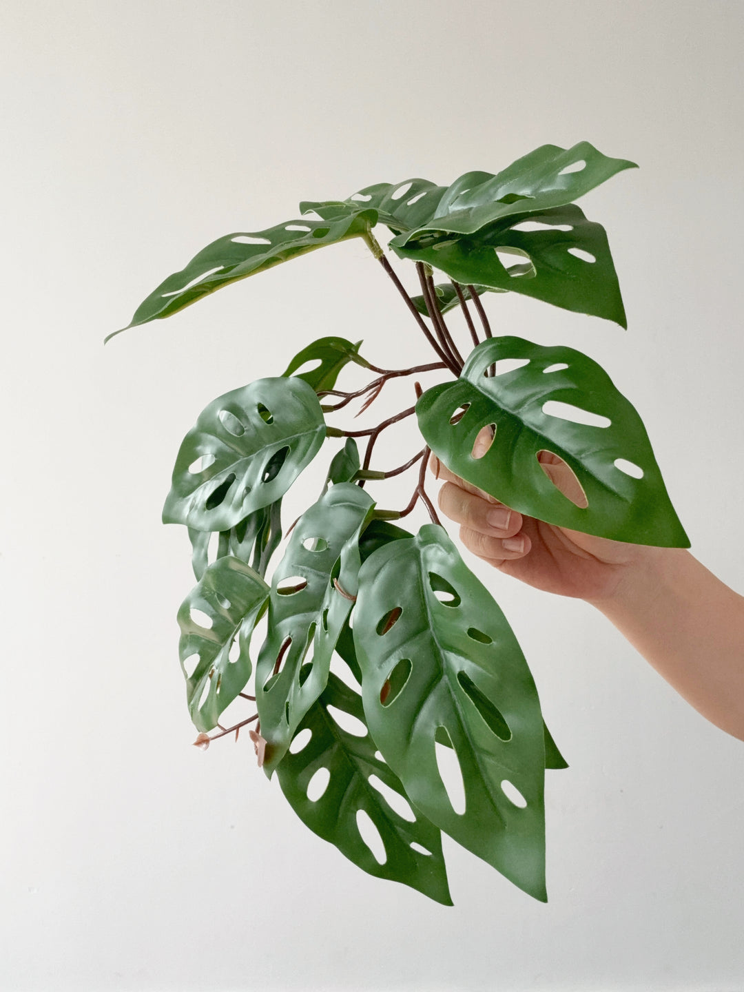 Faux Monstera Adansonii Vine