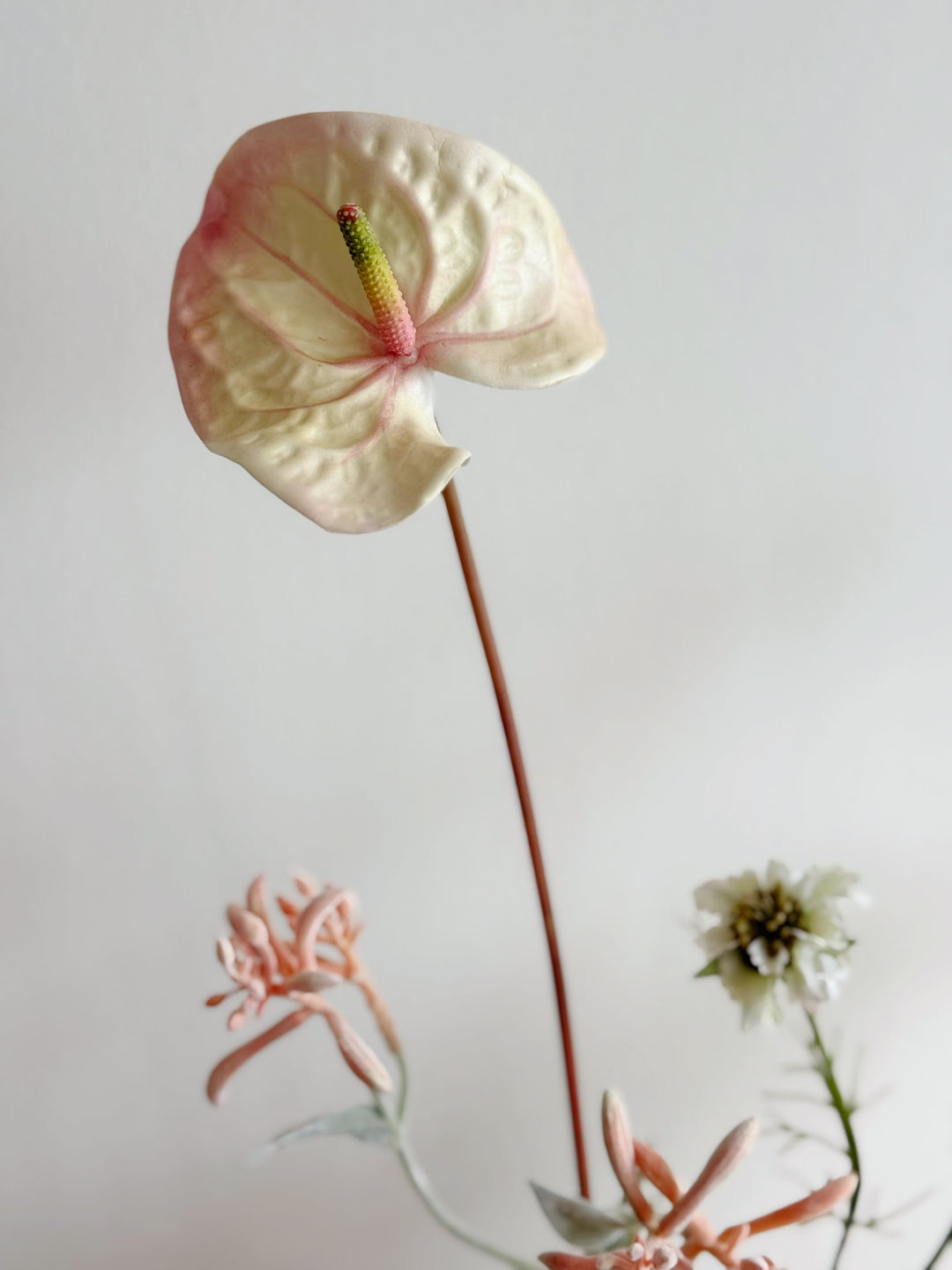 Butterblush Garden Bloom in the Pot (1-sided)