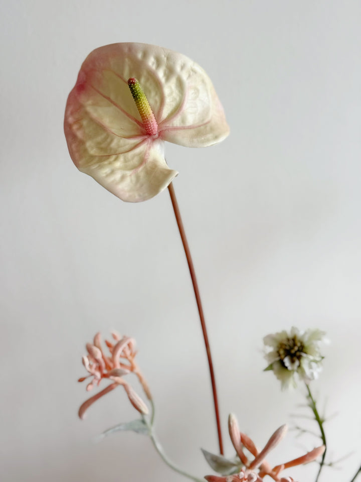 Butterblush Garden Bloom in the Pot (1-sided)