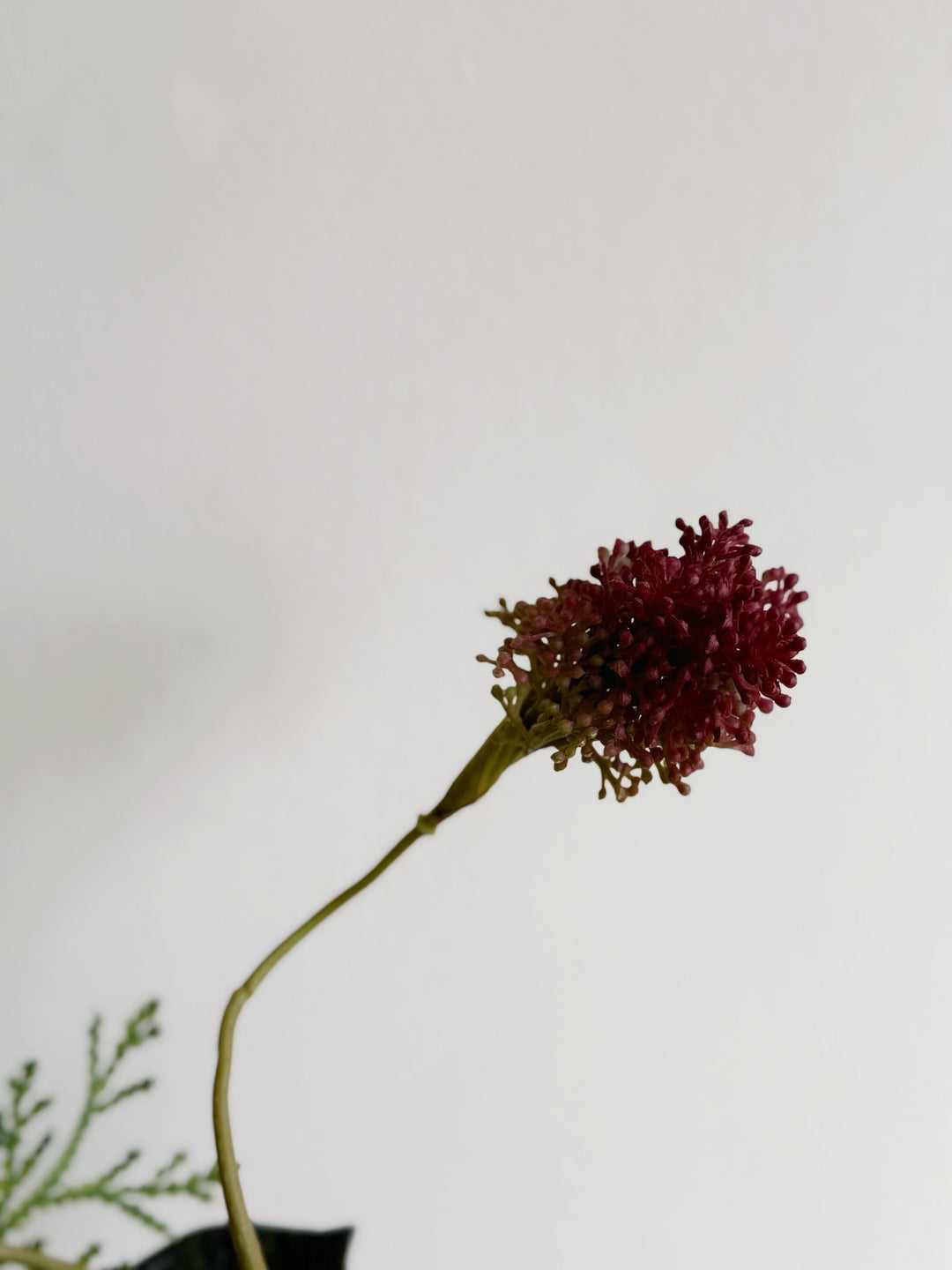 Evergreen & Merlot Harmony In The Vase Pot (1-sided)