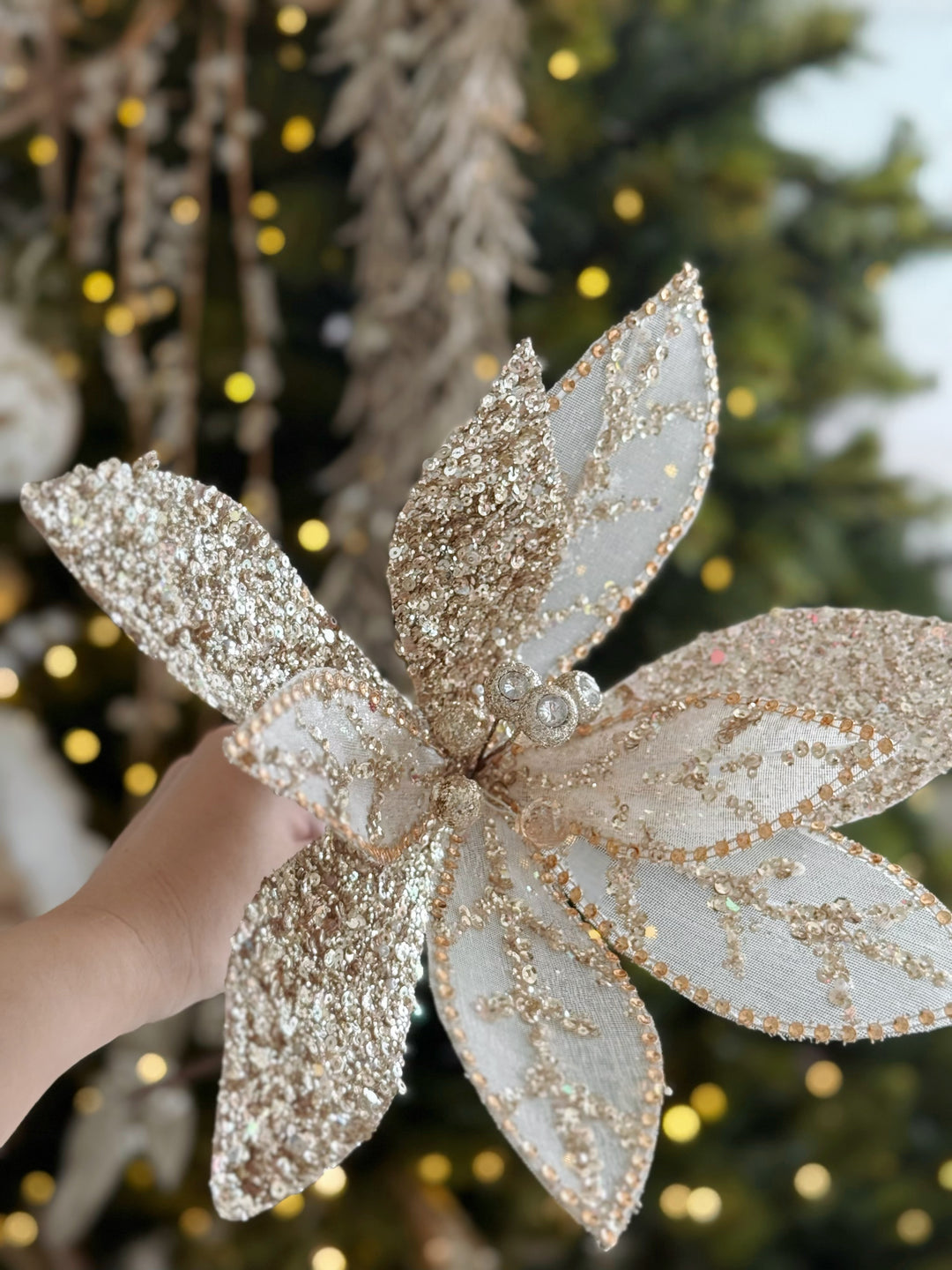 Champagne Grande Radiance Bloom