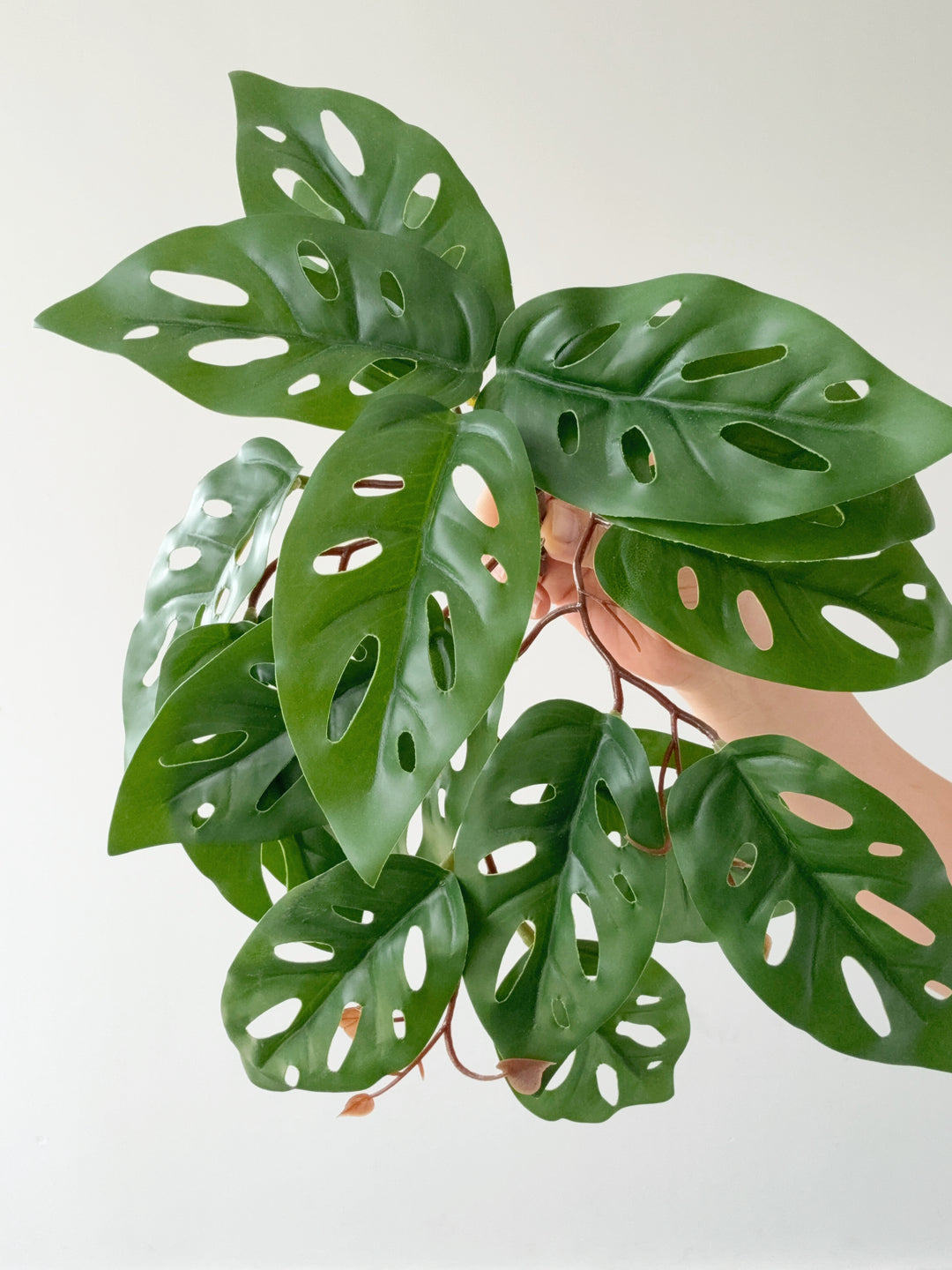 Faux Monstera Adansonii Vine