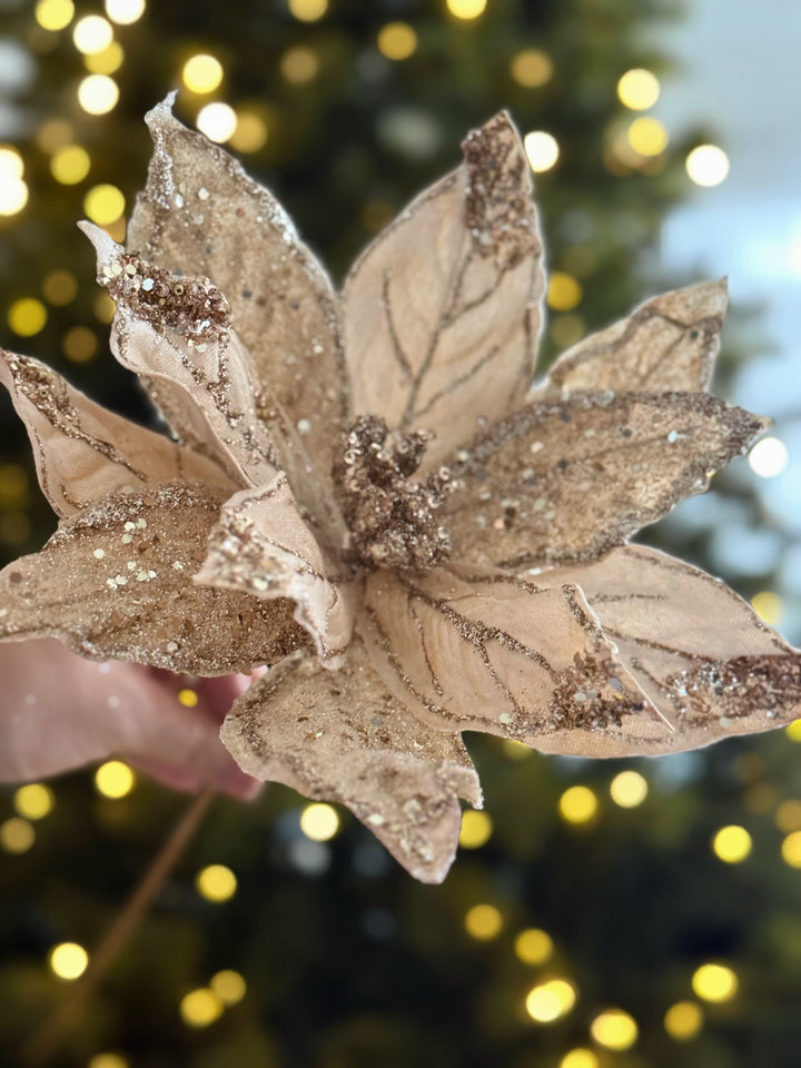 PRE-ORDER (19-23 Oct): Champagne Shimmer Faux Poinsettia
