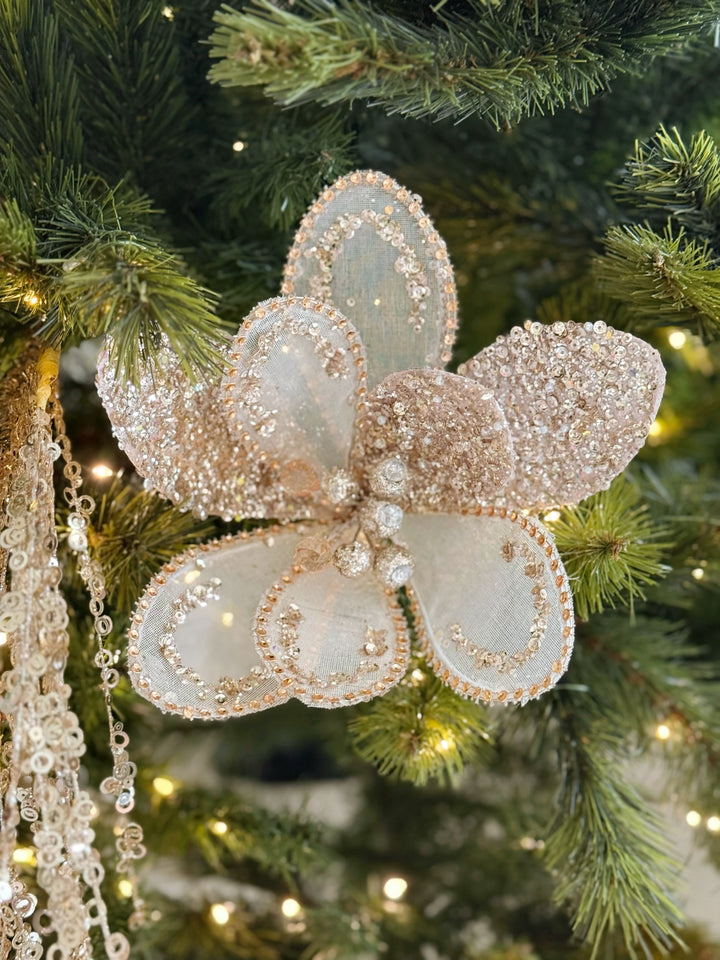 Champagne Radiance Petal Bloom