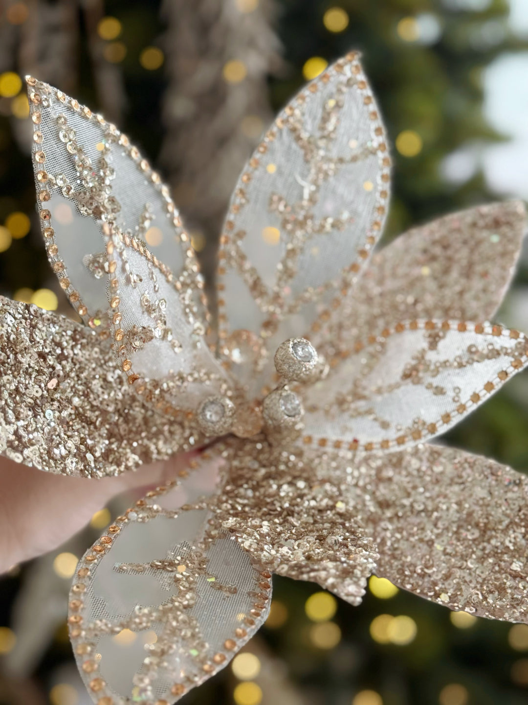 Champagne Grande Radiance Bloom