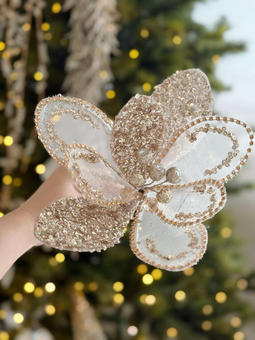 Champagne Radiance Petal Bloom