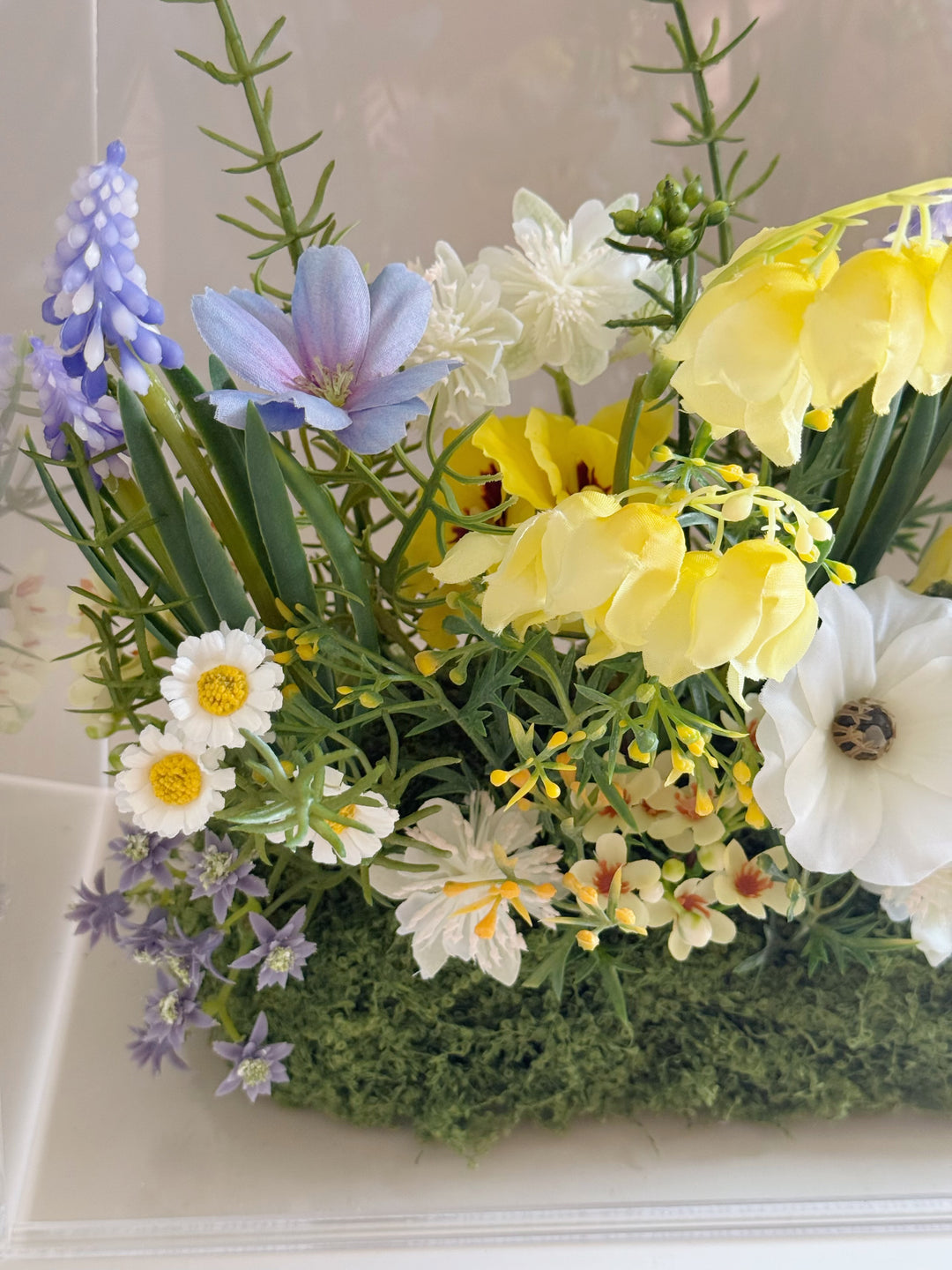 The Garden Box — Sunny Soleil