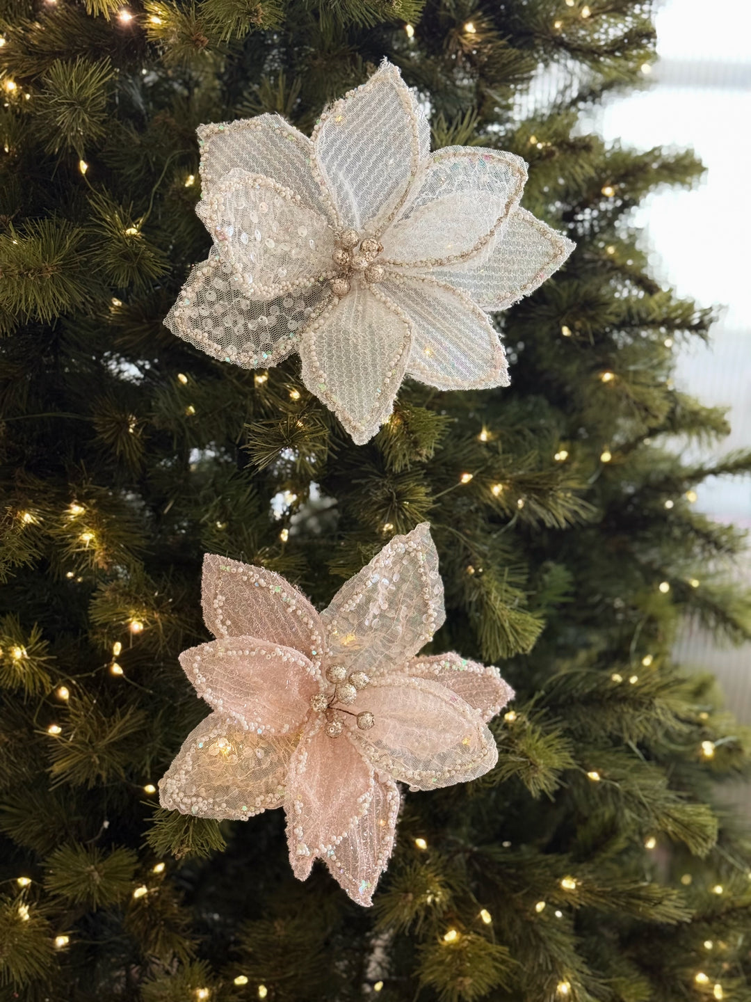PRE-ORDER (19-23 Oct): Sheer Shimmer Poinsettia Collection (2 colours)