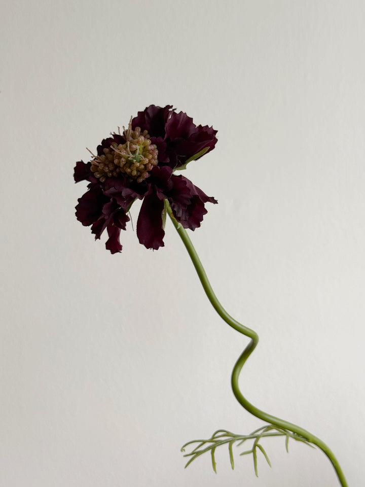 Velvet Mauve Nocturne in the Vase (1-sided)