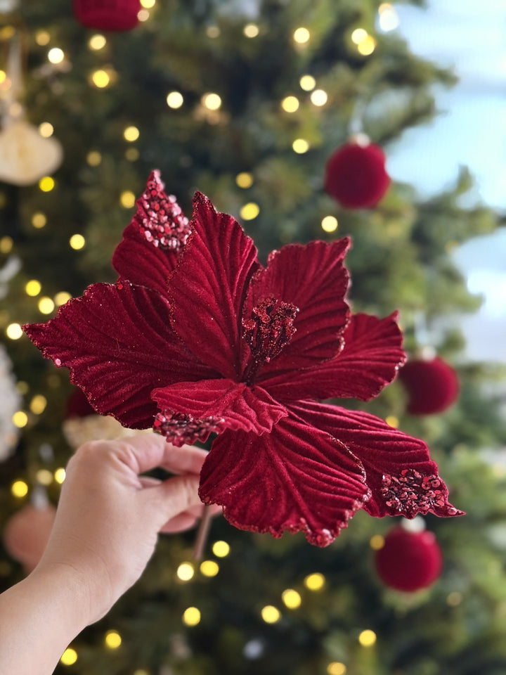 Crimson Velvet Poinsettia
