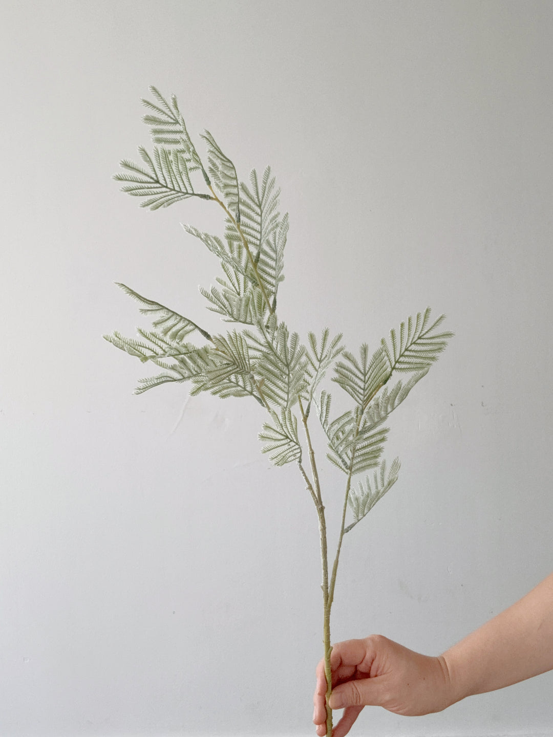 Faux Flocked Mimosa Branch