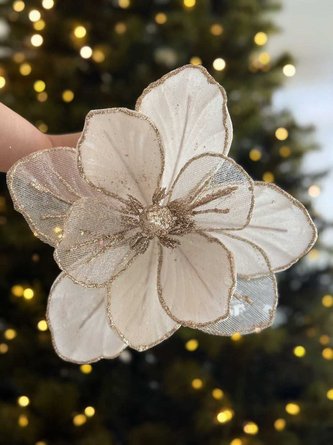 PRE-ORDER (19-23 Oct): Ivory & Champagne Magnolia Christmas Flower (2 options)