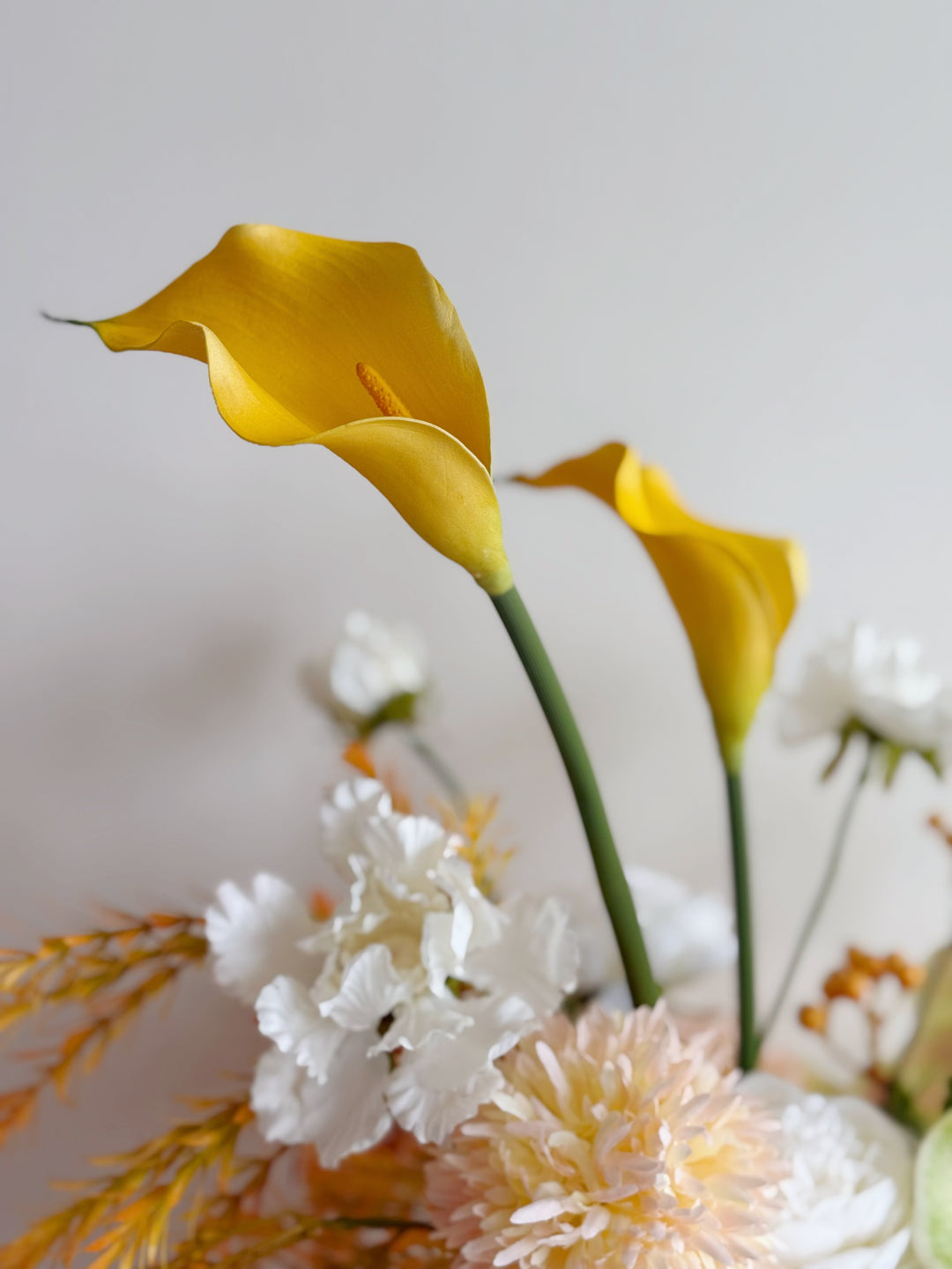 Golden Light In The Jar (2-sided) - 3LittlePicks