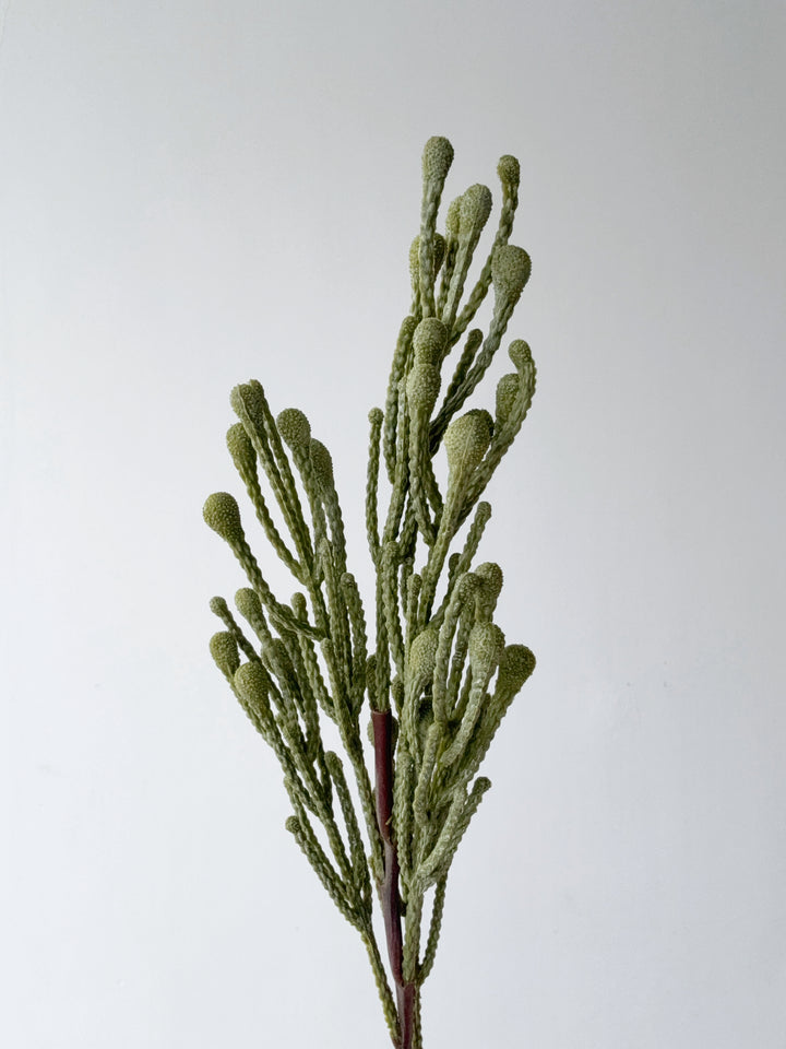 Spray Brunia Faux Branch