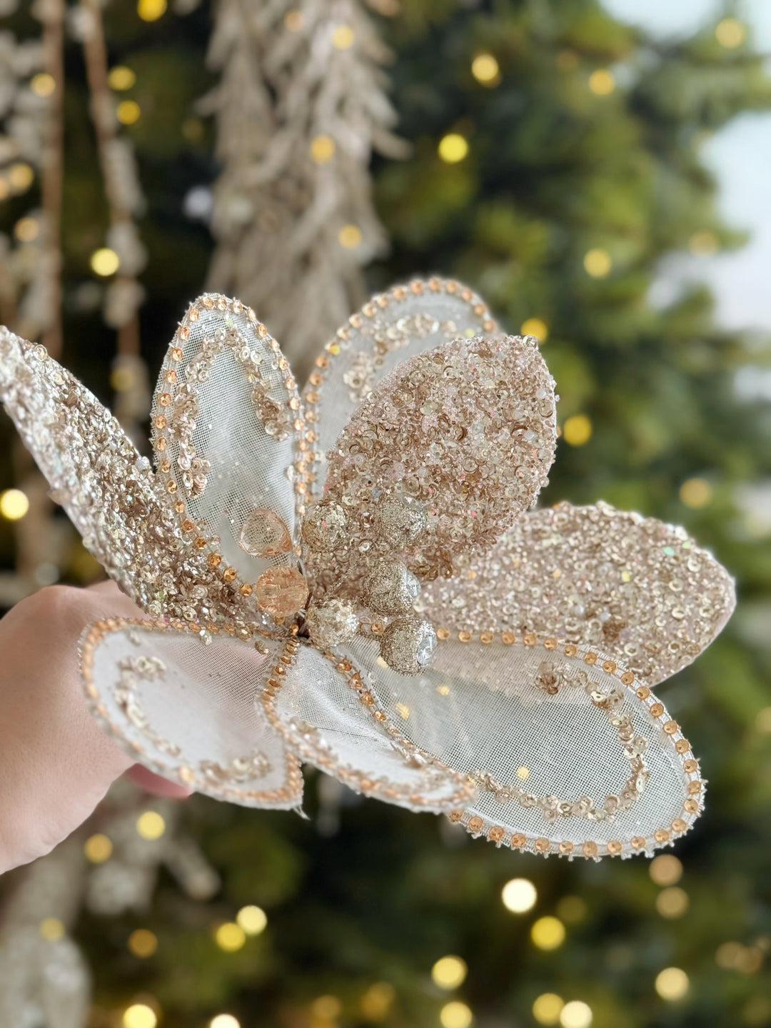 Champagne Radiance Petal Bloom