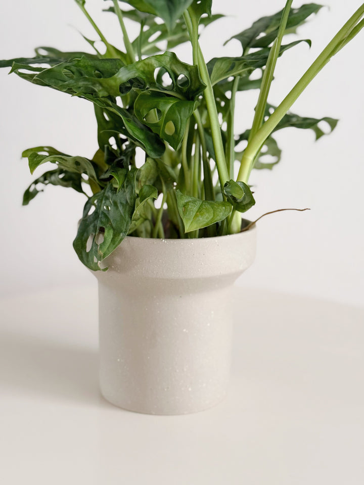 Ash Form Planter