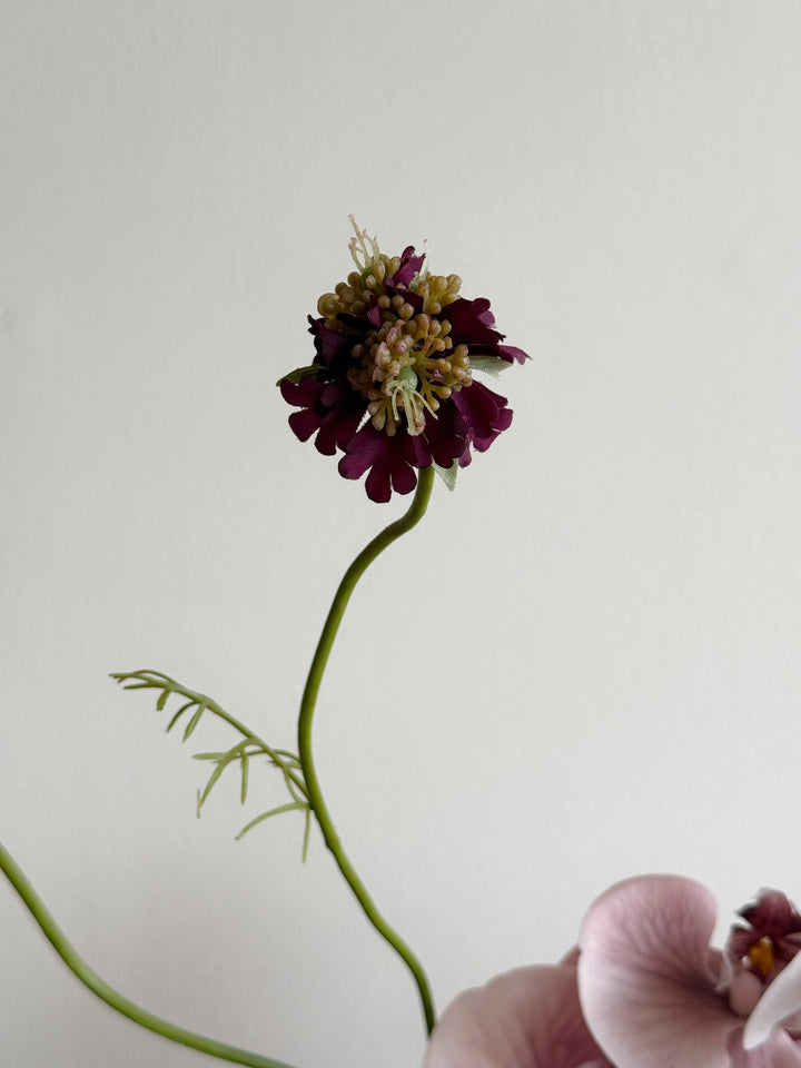 Velvet Mauve Nocturne in the Vase (1-sided)