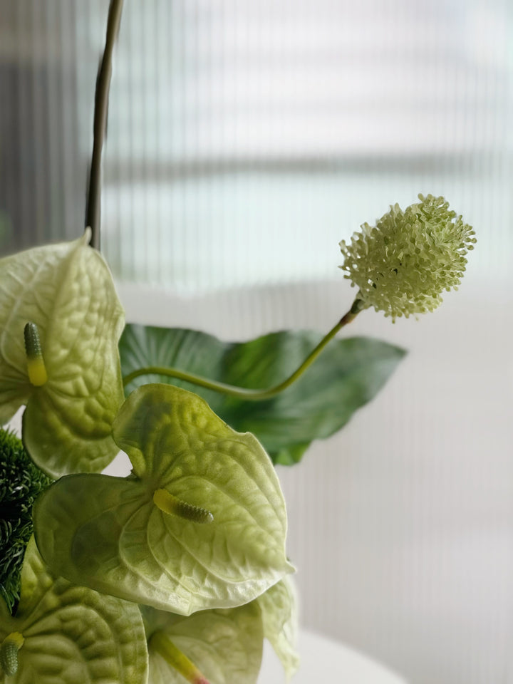 Botanic Poise in the Pot (1-sided)