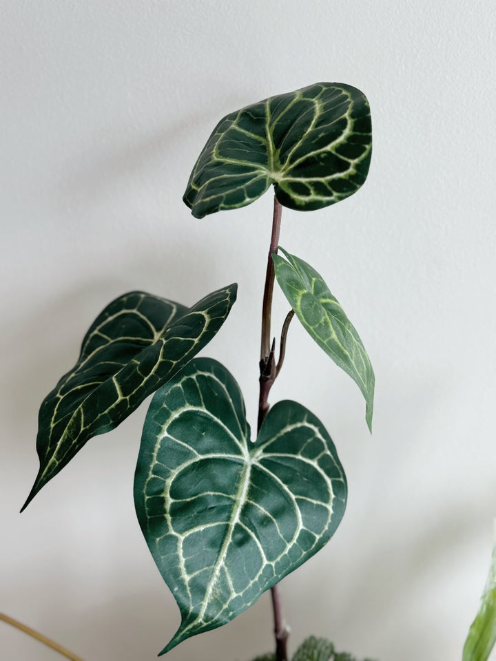 Botanical Poise in the Pot (1-Sided)