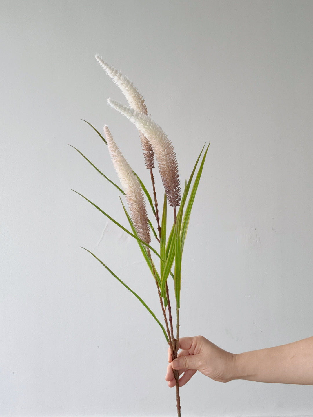 Faux Foxtail Grass Spray (3 colours)