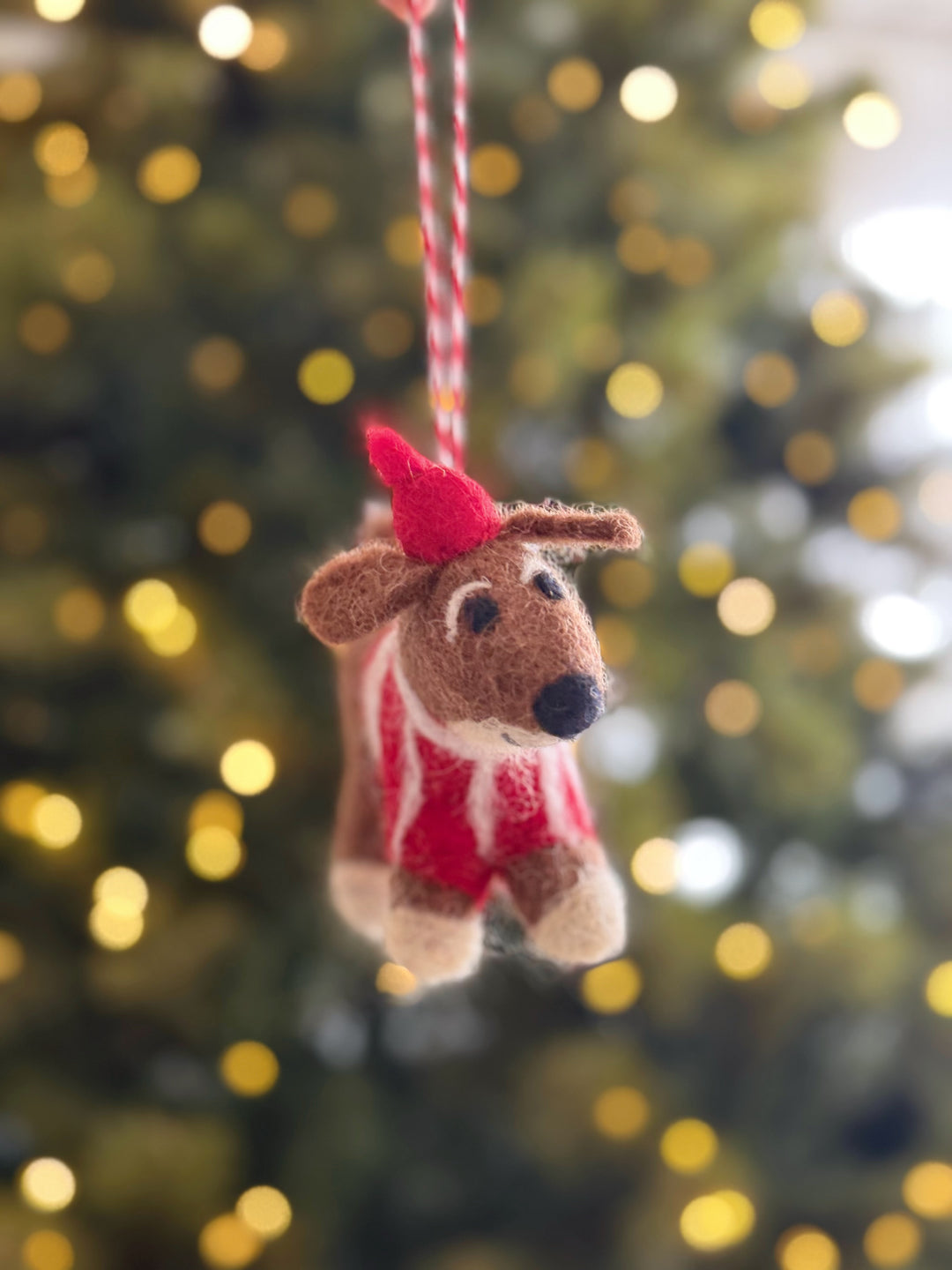 Santa Cape Pup Wool Felt Ornament