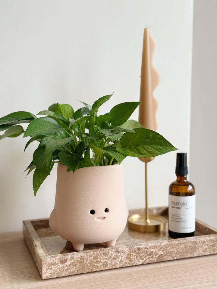 Cheeky Sprout Pot