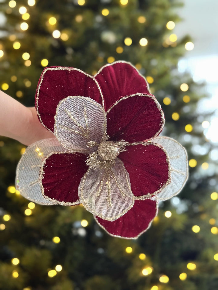 PRE-ORDER (19-23 Oct): Wine & Champagne Magnolia Christmas Flower (2 options)