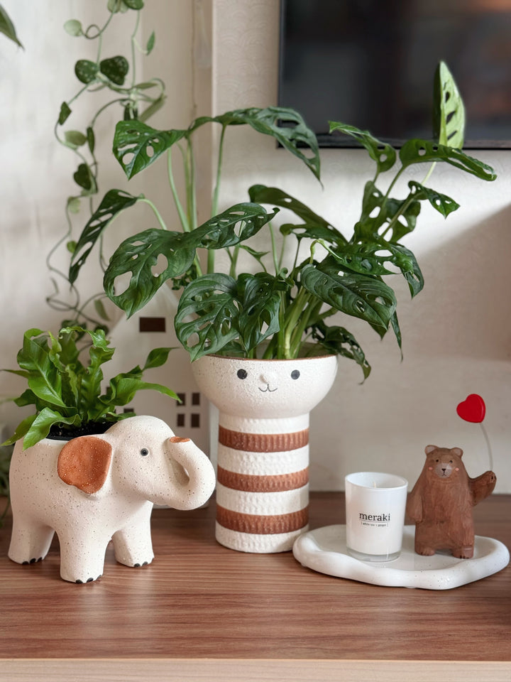 Happy Buddy Tall Planter