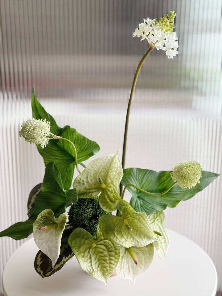 Botanic Poise in the Pot (1-sided)