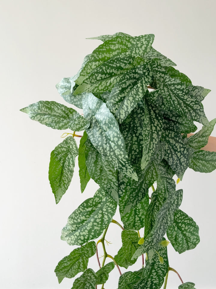 Faux Polka Dot Begonia Vine - 98cm
