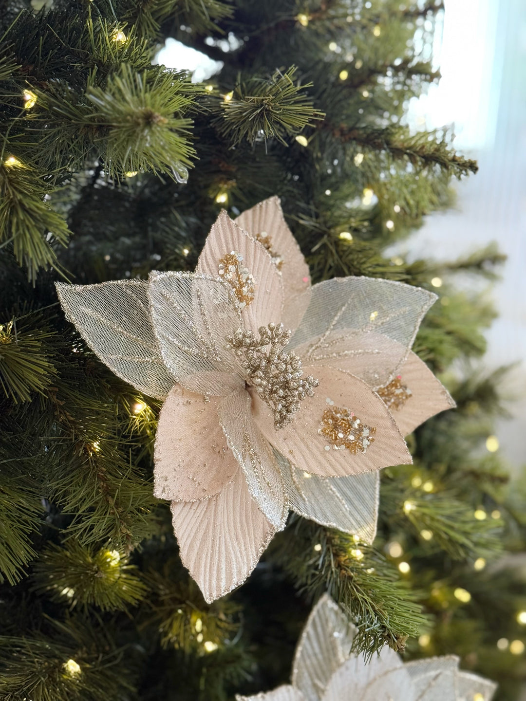 Celeste Bloom Poinsettia (2 colour options)