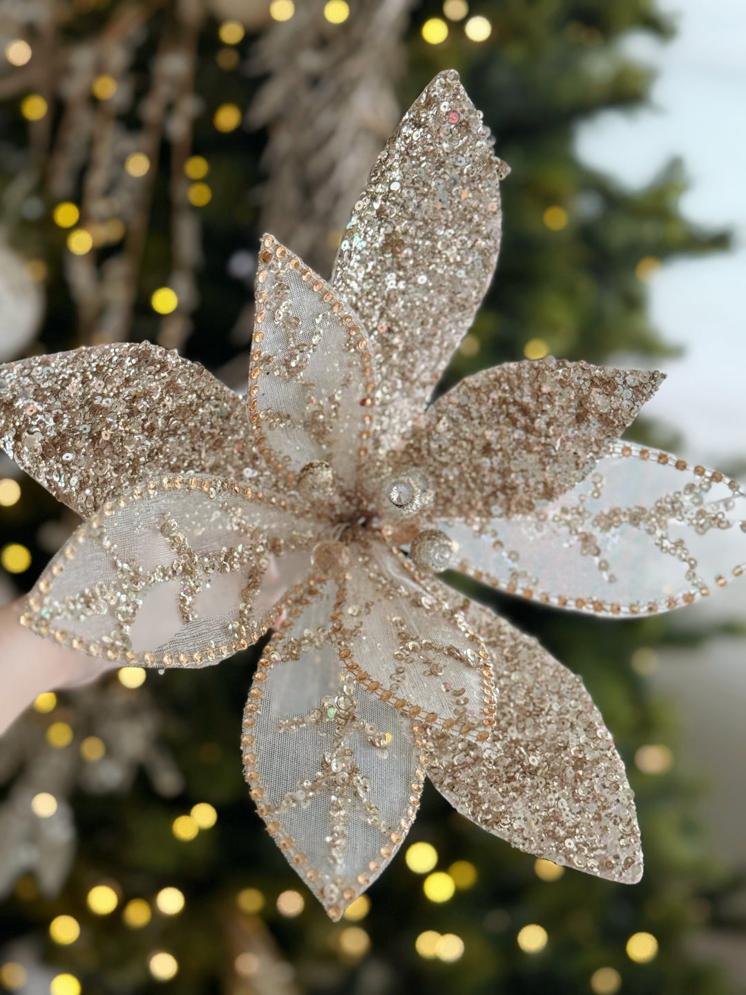 Champagne Grande Radiance Bloom