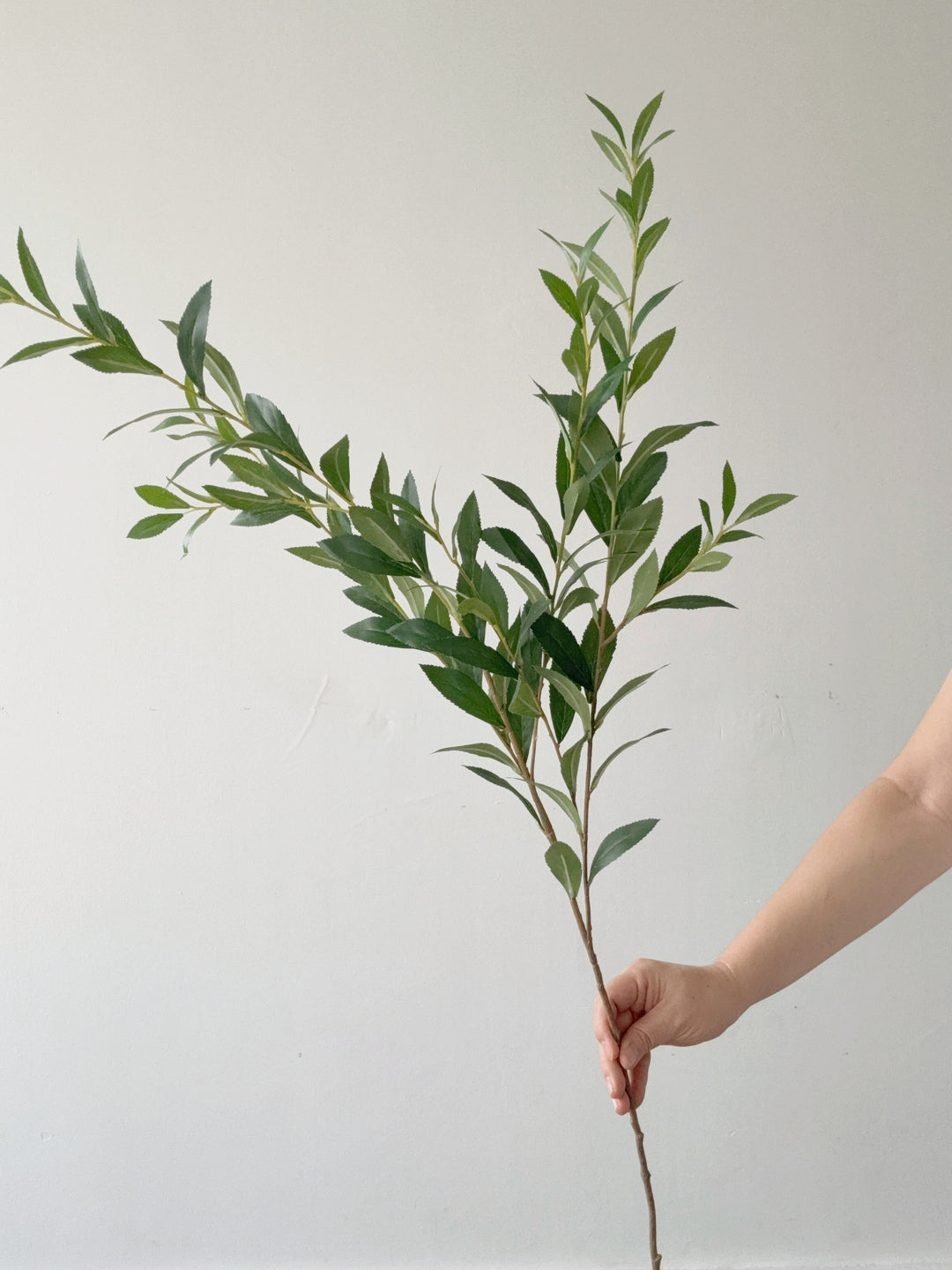 Faux Willow Leaf Branch