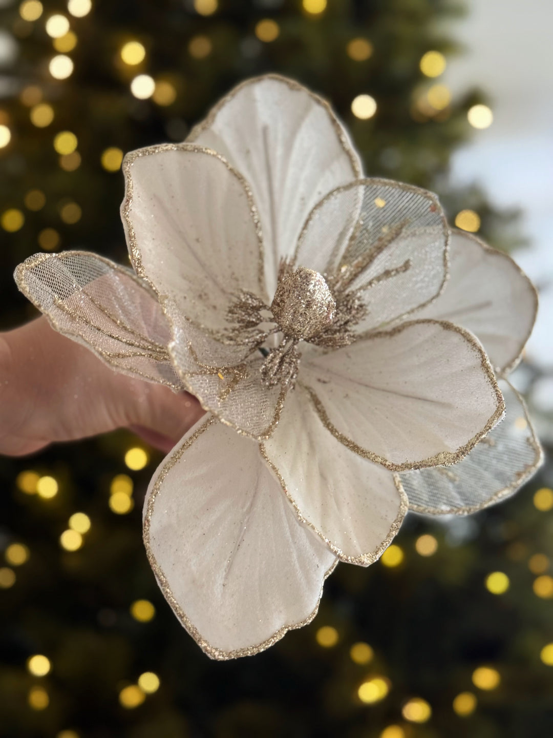 PRE-ORDER (19-23 Oct): Ivory & Champagne Magnolia Christmas Flower (2 options)
