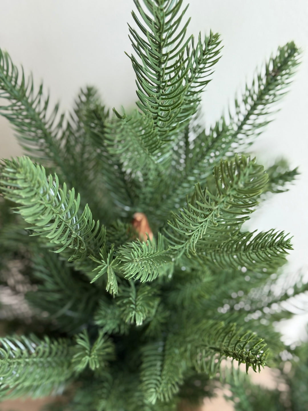 PRE-ORDER (27/11-3/12): Everwood Petite Trees (3 sizes)