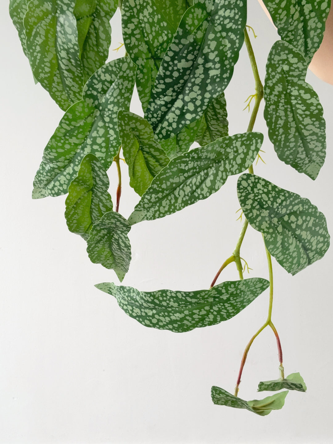 Faux Polka Dot Begonia Vine - 98cm