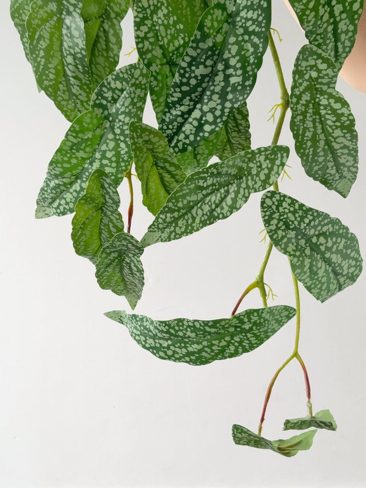 Faux Polka Dot Begonia Vine - 98cm